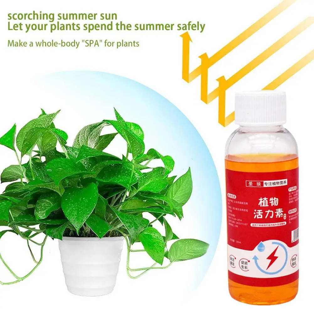1/3/5pcs Plant Growth Enhancer Supplement Growing Agent Flower-like Fertilizer Succulent Roots Green Universal Plant Growth Tool