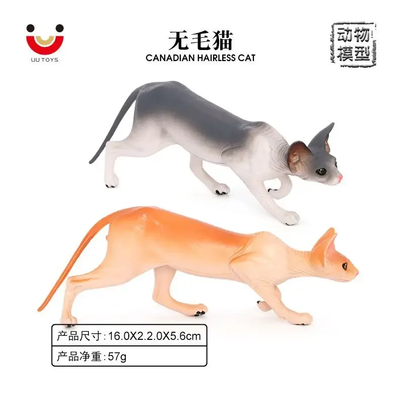 Children's toys simulated animal models Canadian hairless domestic cat pet home decoration early education props