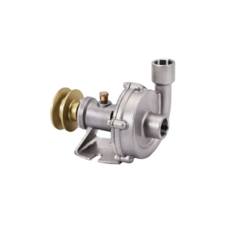 1 Inch Sea Water Pump  5 - 10A 501–1,000 GPH Stainless steel
