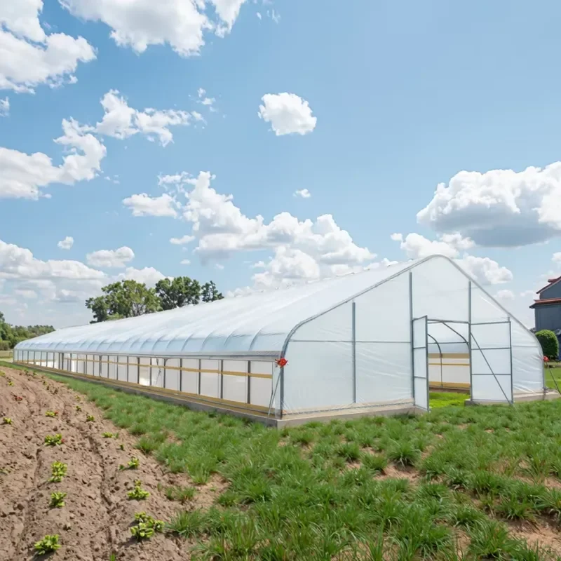 China Manufacturer's Modern Greenhouse Tent 126kg/m2 Snow Load Industrial Design for Backyard Construction Quick Assembly