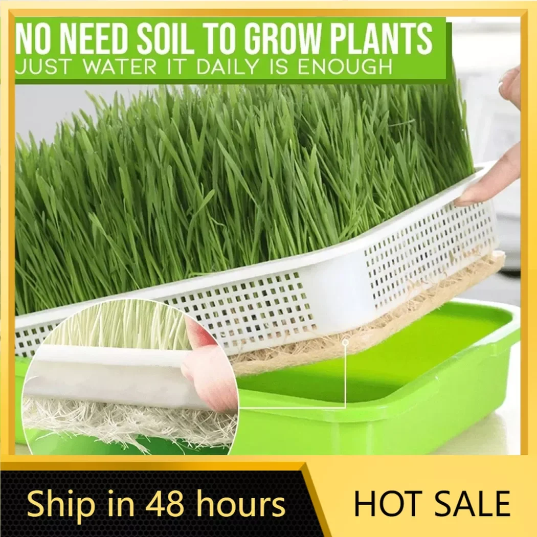 

Microgreen Sprouting Tray Sprout Dish Growing Pot Hydroponic Sprouting Tray For Sprouts Cats Grass Germination Nursery Pot Grow