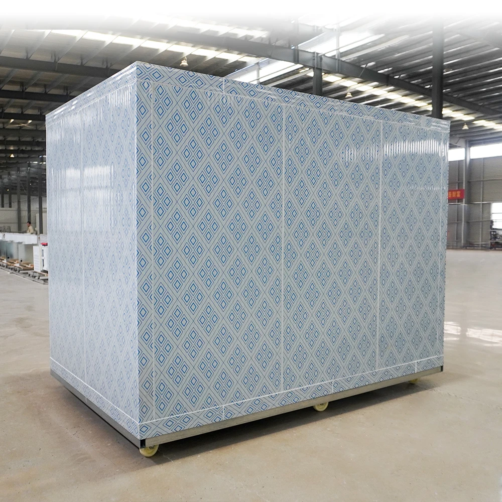 Sala di stoccaggio fredda dell'attrezzatura di refrigerazione del congelatore del contenitore mobile all'ingrosso da 20 piedi per il negozio di ghiaccio di verdure di carne di pesce