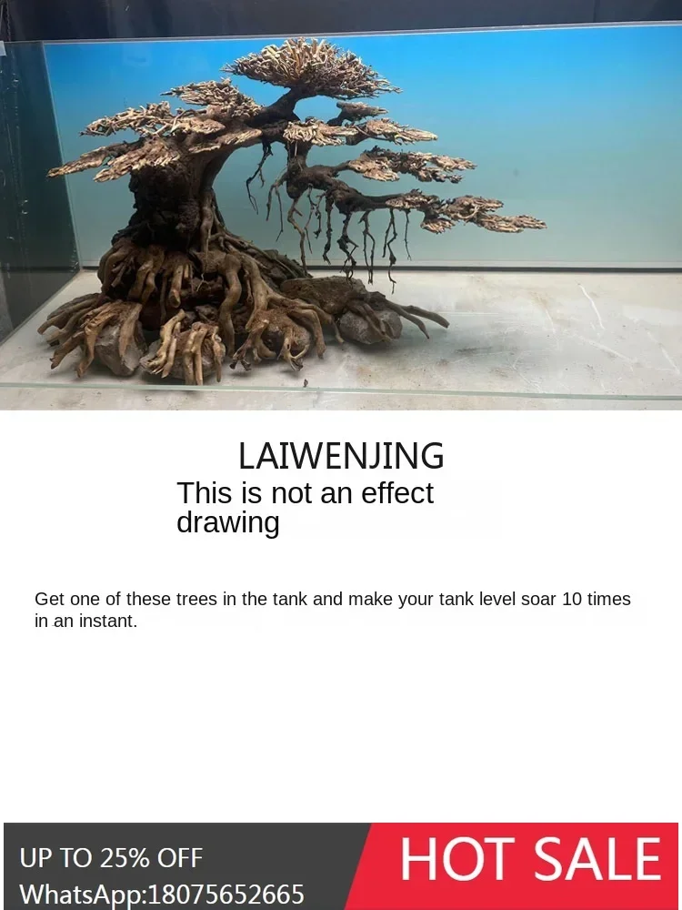 Lyn Fish Tank Lands… - image