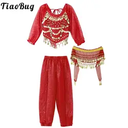 Girls India Belly Dance Arabian Princess Performance Costume Long Sleeve Crop Top with Harem Pants Hip Scarf Bellydance for Kids
