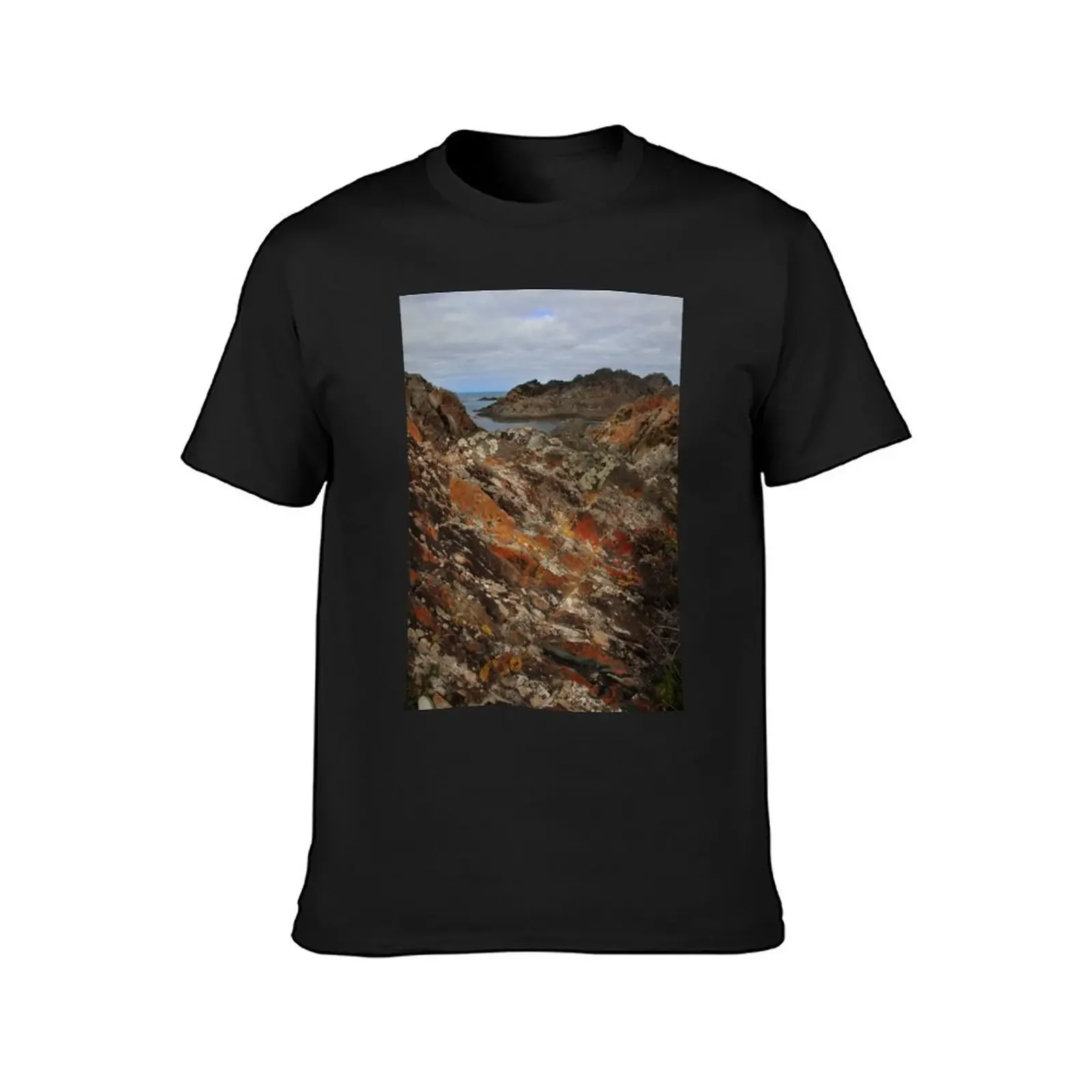 lichen covered outcrops at Sarah Ann Rocks (Tasmania) T-Shirt street wear cute tops clothing for men