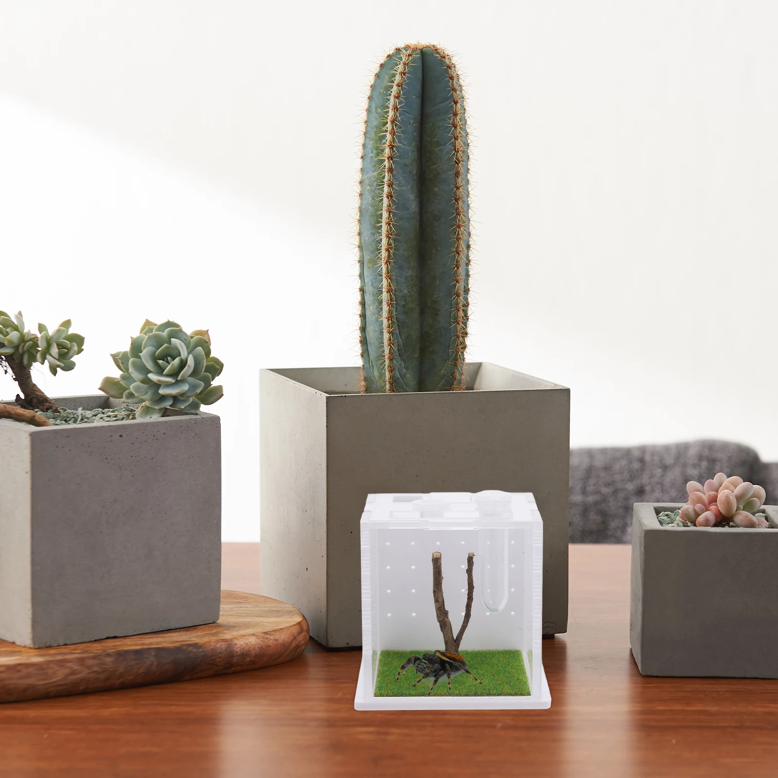 

Jumping Spider Feeding Box Transparent Acrylic Breeding Container For Reptile Insect Habitat Portable Spider Enclosure