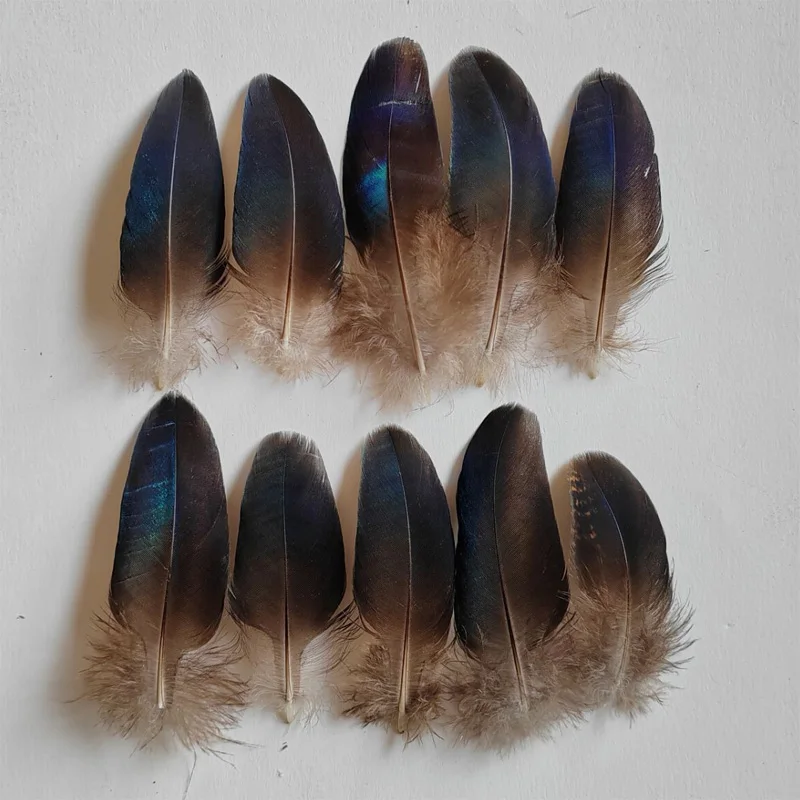 30Pcs/lot! 7-10cm long Rare Dark PEACOCK PLUMAGE WING FEATHERS LOOSE PEACOCK FEATHERS