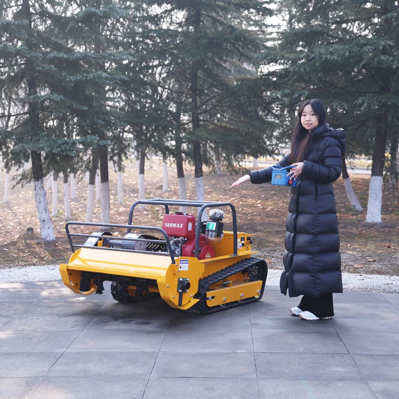 

Customized Compact Home Smart Mower, 4-Stroke Single Cylinder, Wireless Remote Control, Self-Propelled, Custom Colors.