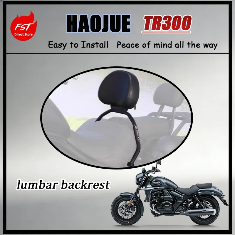 FOR HAOJUE TR300 Cruiser Bike Lumbar Backrest Waist Support Cushion - Reinforced Fixed Mount Anti-Shake Stable Fit Comfortable
