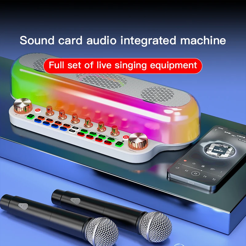 Sy12 tragbare Kinder lauter Karaoke-Lautsprecher mit zwei drahtlosen Bluetooth-Lautsprechern All-in-One-Soundkarte für Familien-Ktv-Party