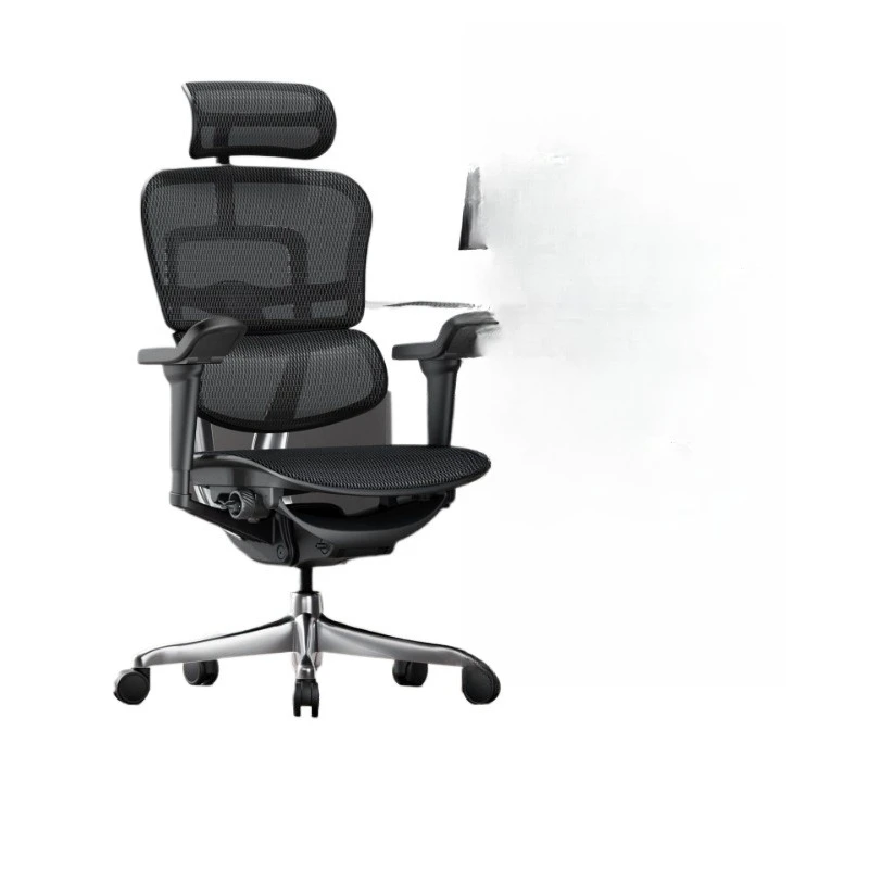 

Ergonomic Chair Computer Chair