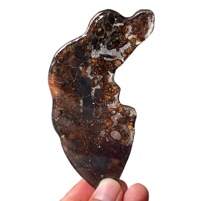 Premium Sericho Pallasite Meteorite Slice Rare Space Stone with Sparkling Olivine  for Collection & Enthusiasts QA859
