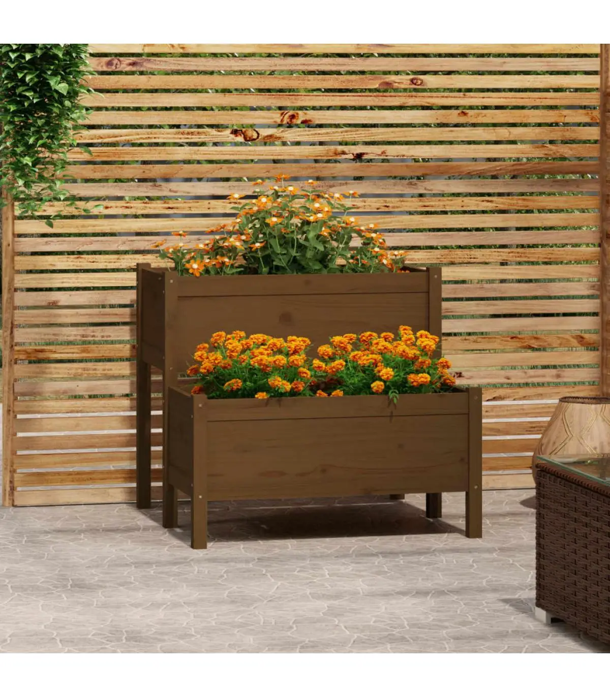 Flower pots and planters solid wood pine brown honey 84,5x84x75 cm