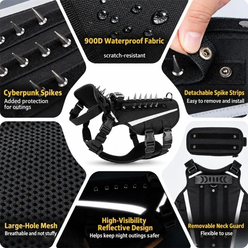 And Set with Adjustable and Buckle Closures 55KF