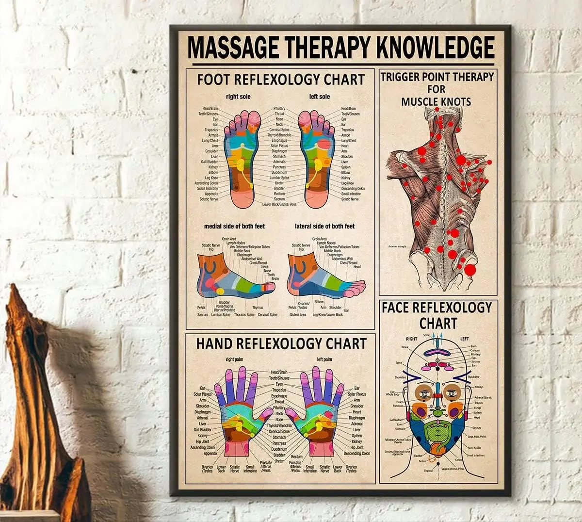 Buy Massage Therapist Knowledge Massage Therapy Foot Reflexology Chart Trigger Point Therapy Wall Art Massage Therapist Gift, Me