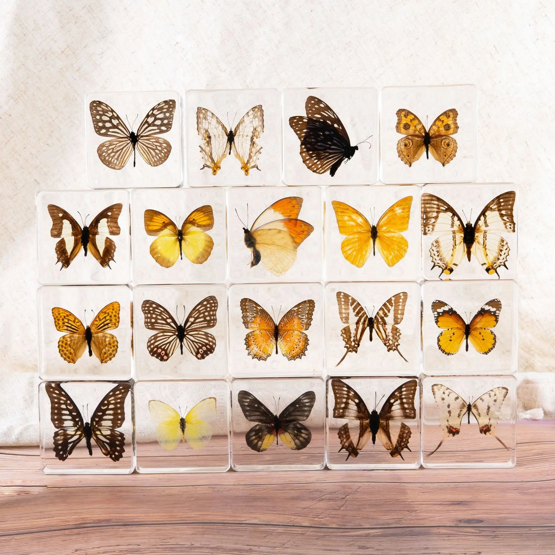 Crystal Epoxy Resin Insect Specimens: Butterfly Collection, Elegant Decorative Artworks