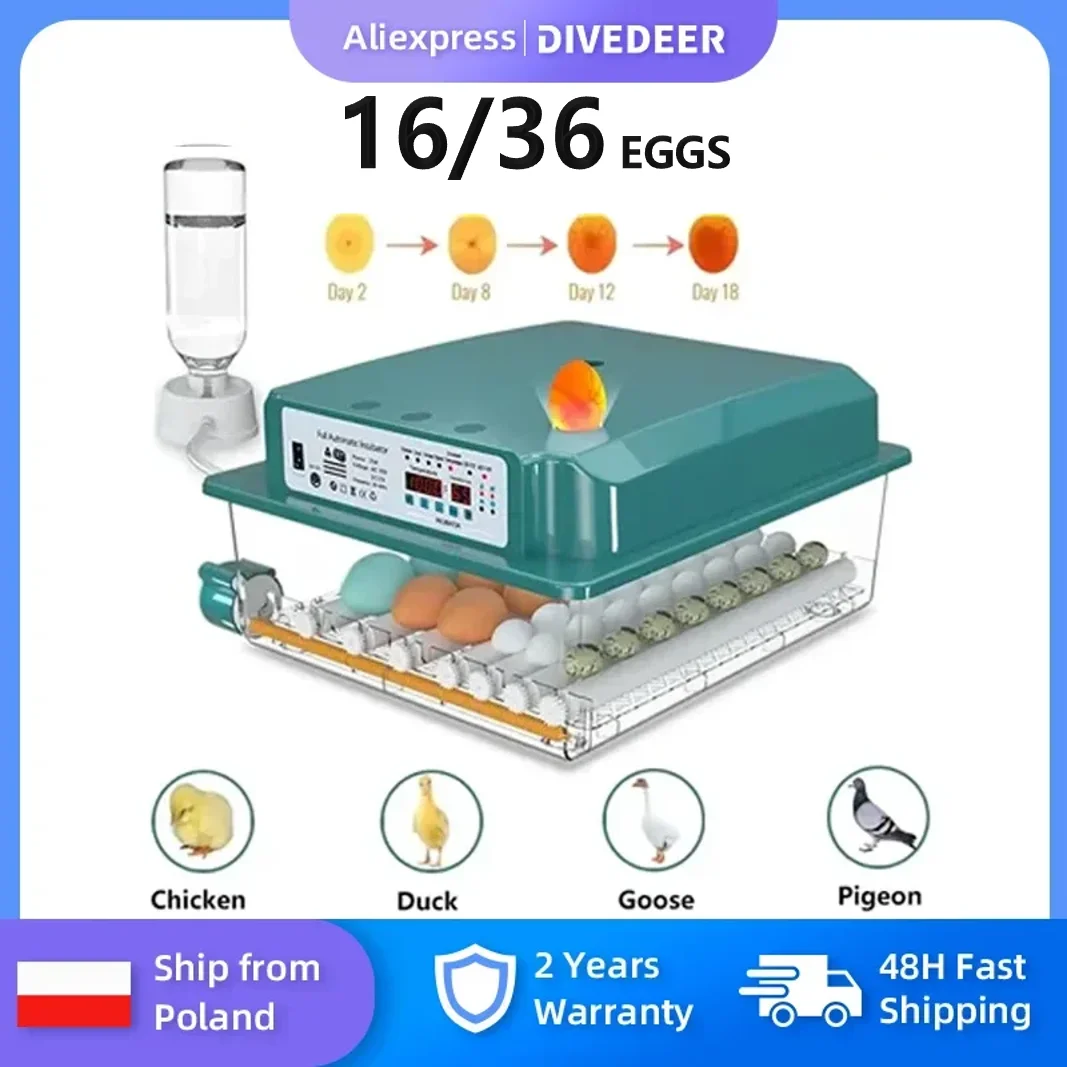 DIVEDEER Incubatrice per uova completamente automatica Capacità di 16-36 uova Tornitura automatica, display dell'umidità per l'incubazione efficiente