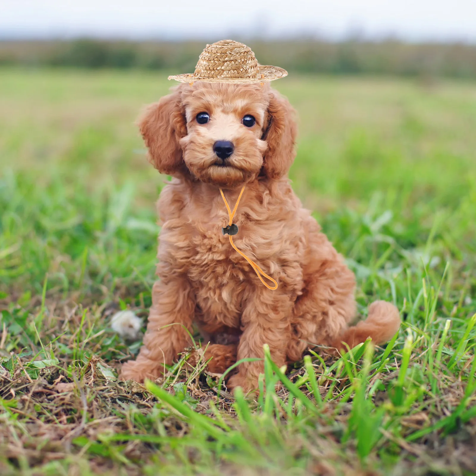 

Pet Sun Hat Dog Straw Hats for Small Dogs Protection Adjustable Elastic Chin Strap Breathable Pet Accessories Beach Garden