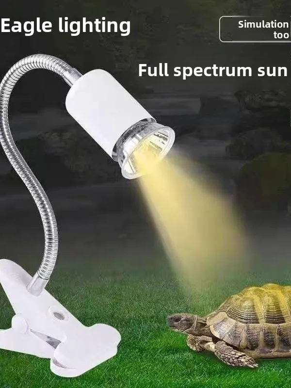 Full Spectrum Turtl…