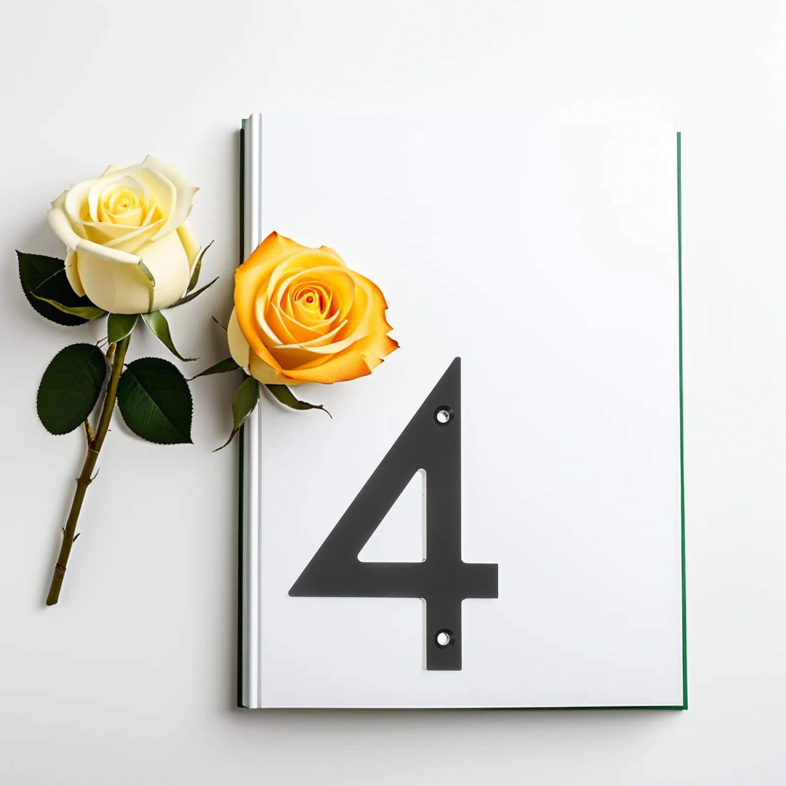 

Number 4 Acrylic Modern Black Outdoor Villa Courtyard Floor Door Sign Easy to Install Street Home Address Number Plaque