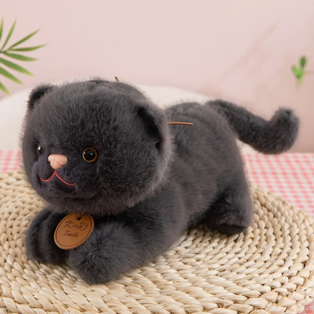 

Stuffed Doll Simulation Cat Plush Toys Collection Fluffy Cartoon Plush Animal Doll Ins Soft Animal Cartoon Kitty Dolls Car Decor