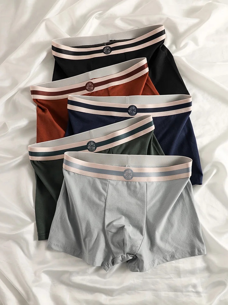 

Men's 5-Pack Cotton Boxer Briefs - Premium Striped Waistband, Stylish & Comfortable