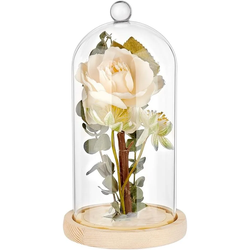 Cloche Glass Dome Clear Glass Display Dome with Top Handle Cloche Bell Jar Dome Cover Decorative Display Case for Plants Flower