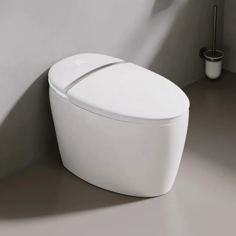 

Automatic Ceramic Self Cleaning Bathroom Egg Shape Smart Toilet Sanitary Ware Bidet Toilet Bowl