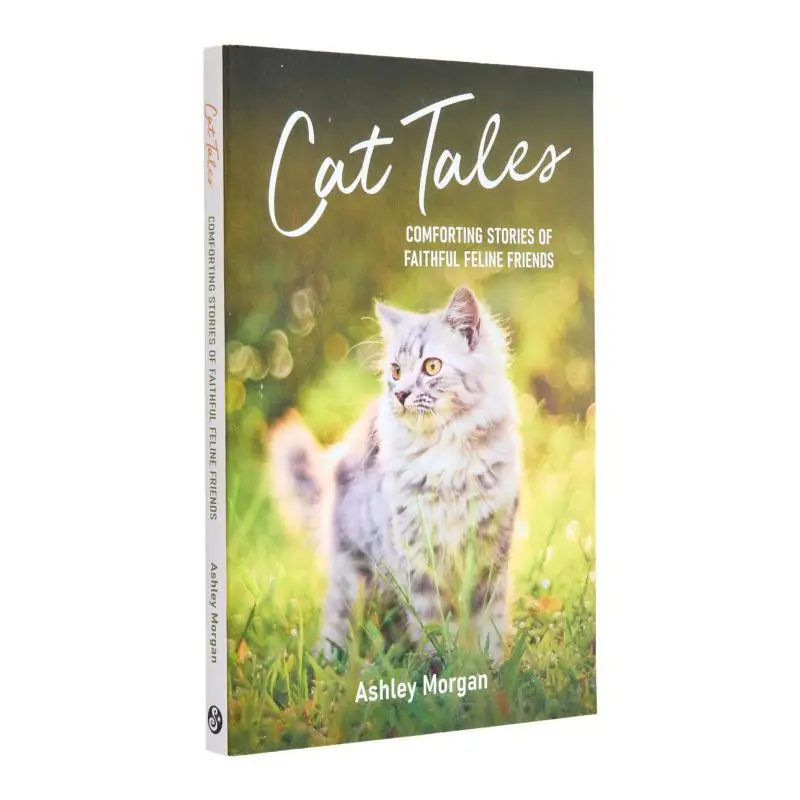 

Cat TalesComforting Stories Of Faithful Feline Friends Ashley Morgan Summersdale Publishers 9781837992829 Book