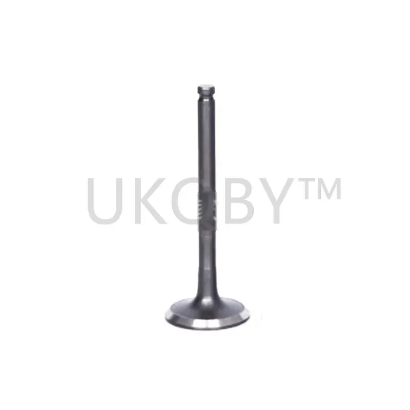 12636317 12637241 S…