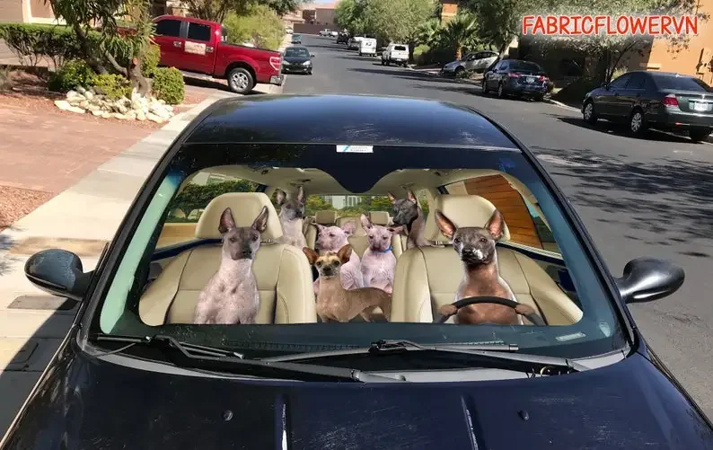 Xoloitzcuintli Car Sunshade, Xoloitzcuintli Car Decoration, Dog Windshield, Dog Lovers Gift, Dog Car Sunshade, Gift For Mom, Gif