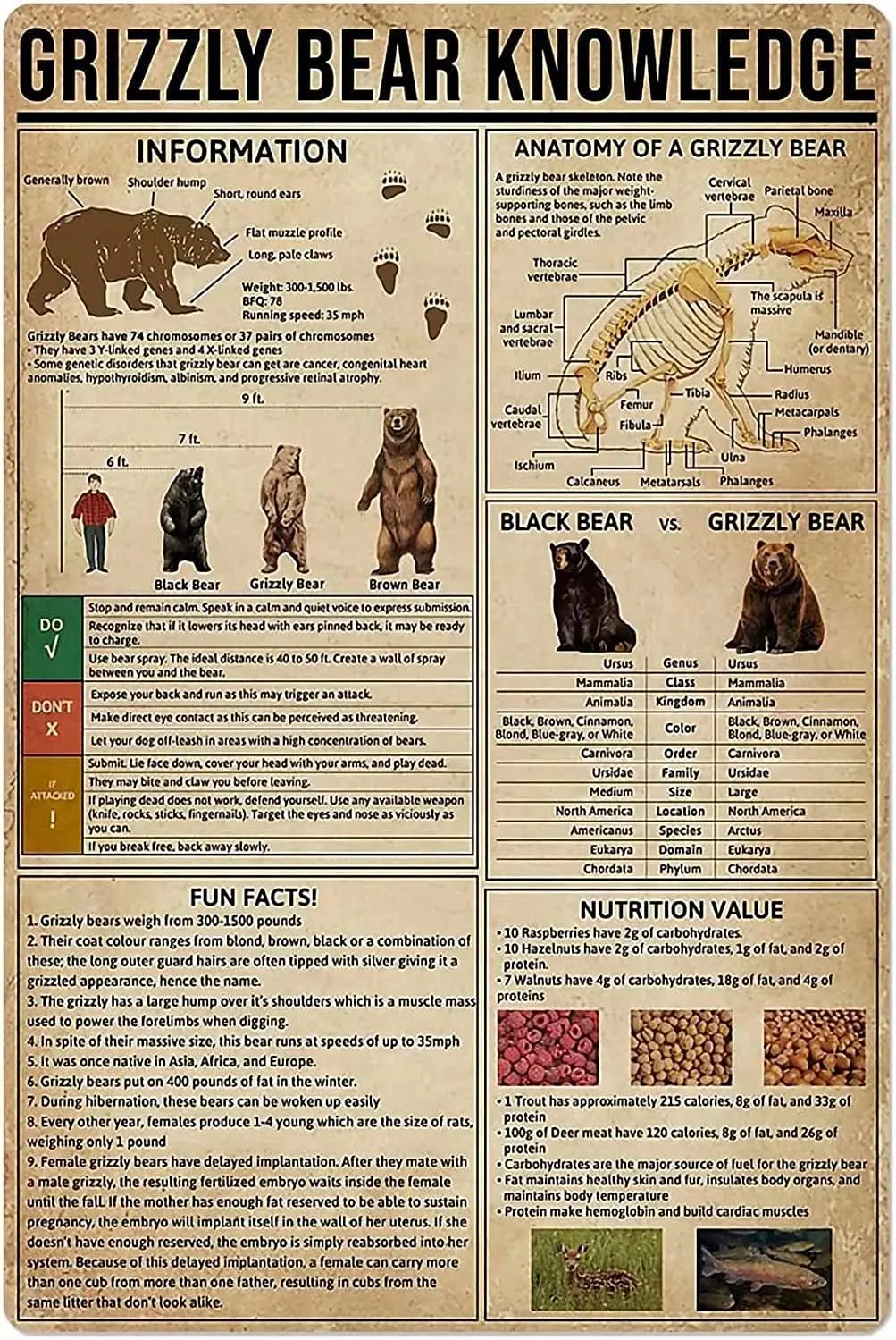 Metallschild „Grizzlybär-Kenntnisse“, Anatomie eines Grizzlybären, Poster, Blechschild, Retro-Plakette, Wanddekoration für Zuhause, Küche, Café
