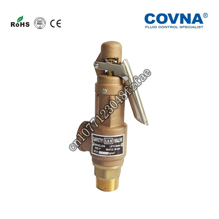 COVNA DN50 2 inch NPT / BSPT Thread Brass Bronze Boiler Steam Safety Relief Valve with Lever