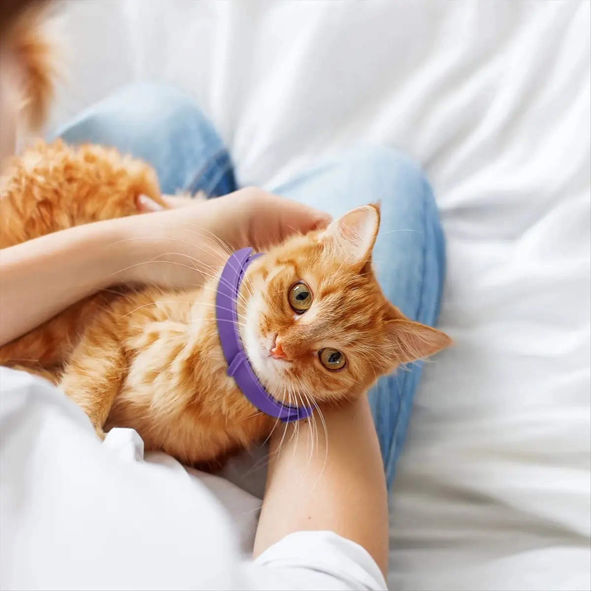 NEW 4Pcs Cat Calming Collar Cat Collar Adjustable Calming Collar Anti-Anxiety Helps for Cats B