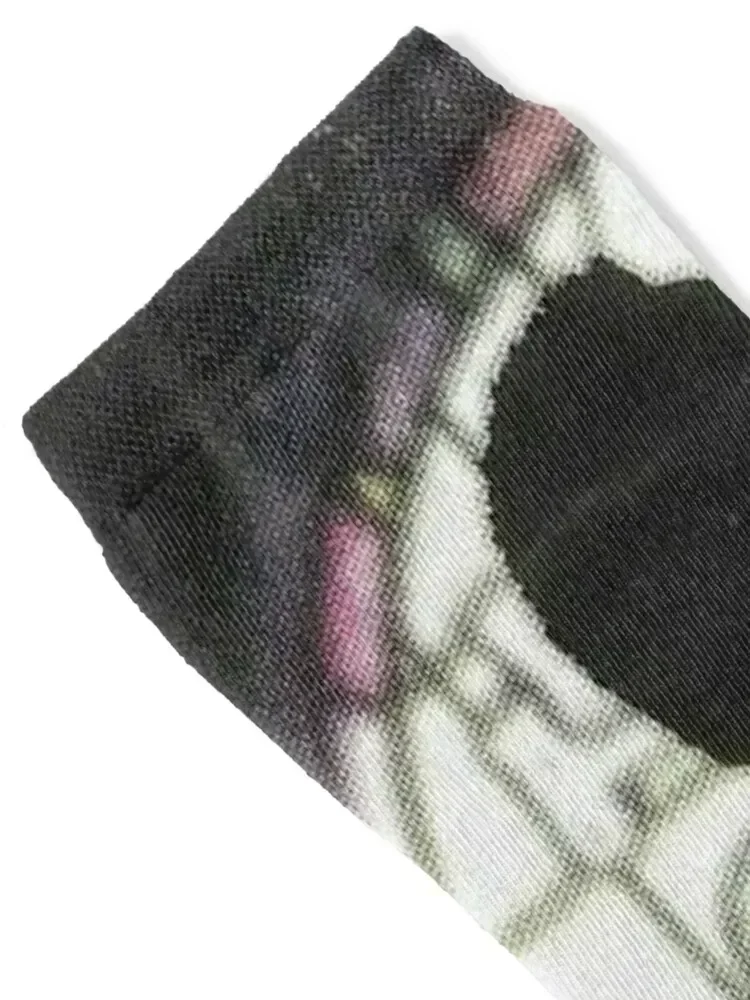 mas bandi Socks luxe Crossfit moving stockings cute Socks Male Women's