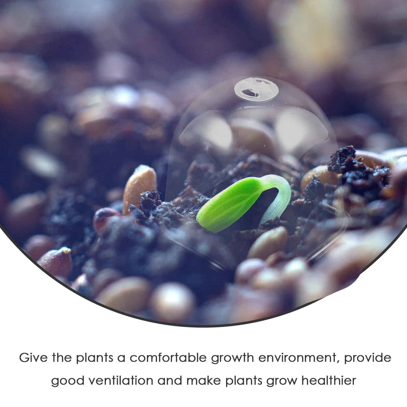 

5Pcs Plant Cover Transparent Plastic Nursery Dome Flowerpot Garden Cloche Humidity Dome Adjustable Air Vent for Plant Protection