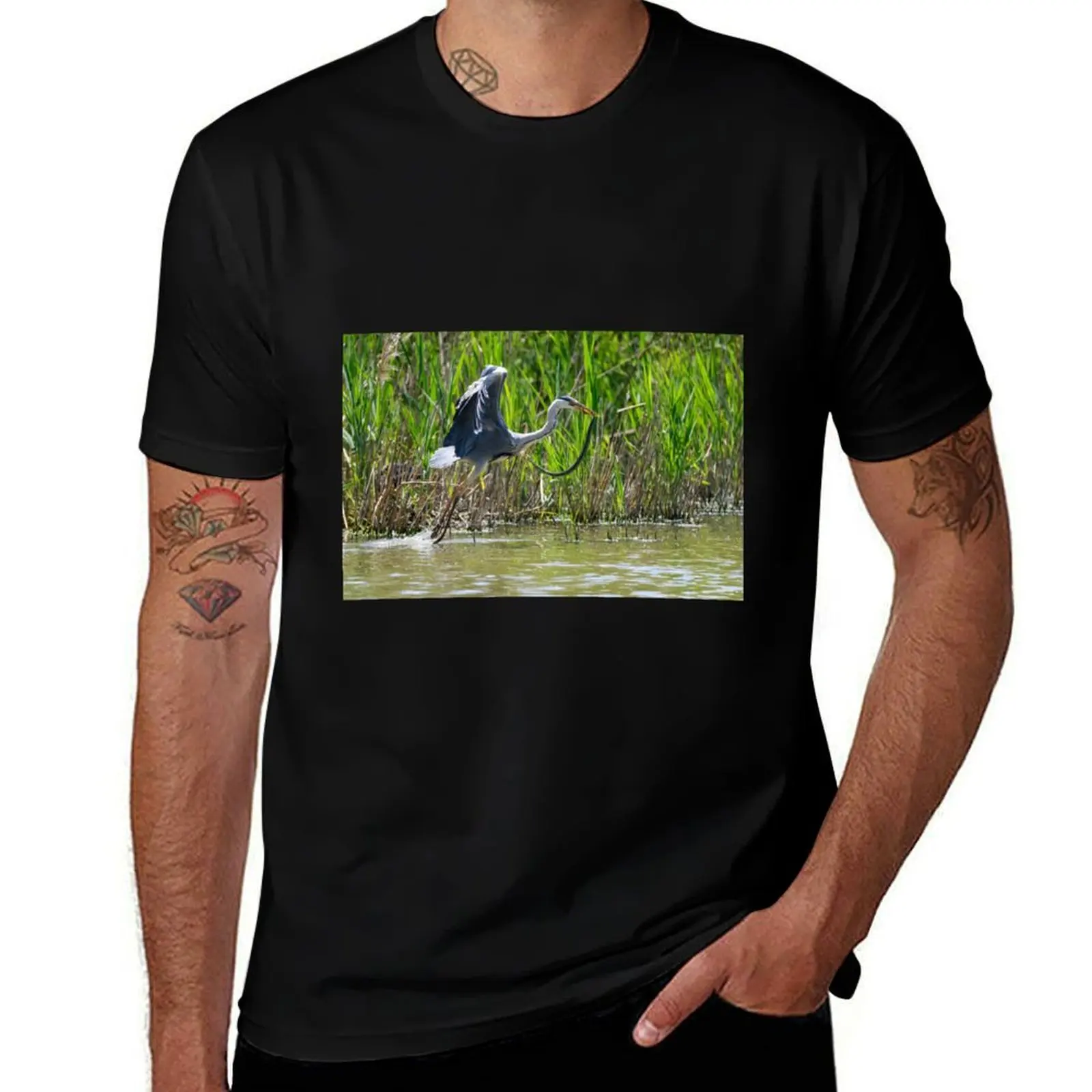 

A heron flies off with a snake, Oasi WWF Lago di Alviano, Umbria, Italy T-Shirt cotton t shirt pack T-Shirt