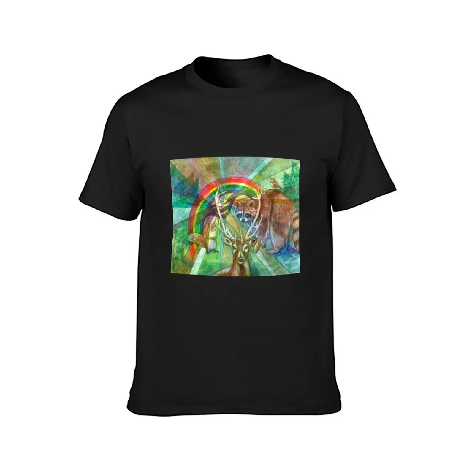 The Rainbow Cocoon T-Shirt anime stuff oversized t shirt men t shirts high quality