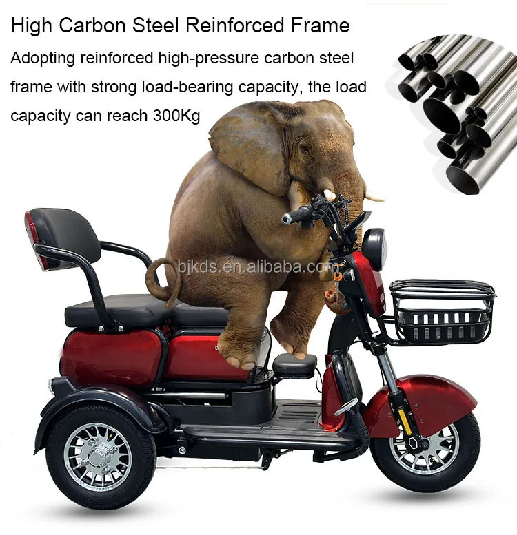 2024 800W EV Tricycle 3 Wheel Electric Tricycle Trike for Sale