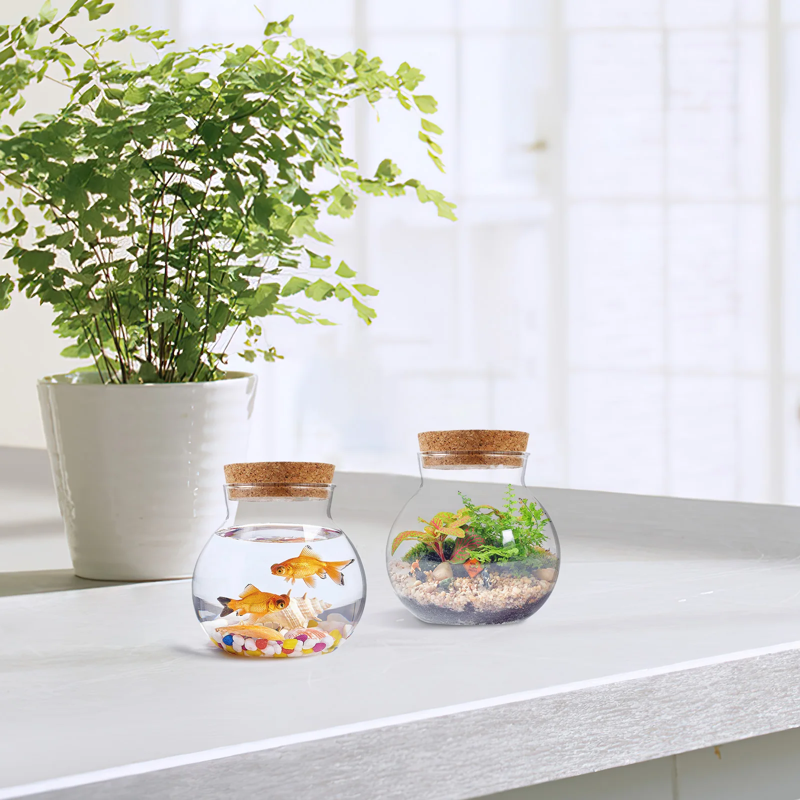 

2Pcs Eco Plant Terrarium Jar 15cmx16cm Round Glass Containers Decorative Indoor Plants Moss Crafts DIY Bottle Mini Landscape