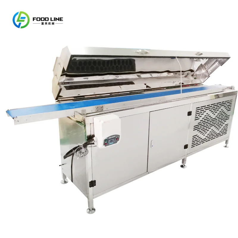 Chocolate Coating Machine for Dates Small Scale Commercial Production Use Custom