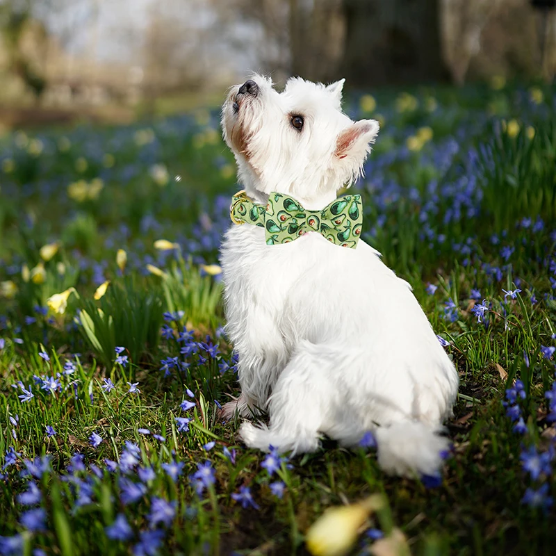 Unique Style Paws Personalized Green Dog Collar Summer Avocado Dog Collar with Bow Tie Pet Dog Collar for Large Medium Small Dog