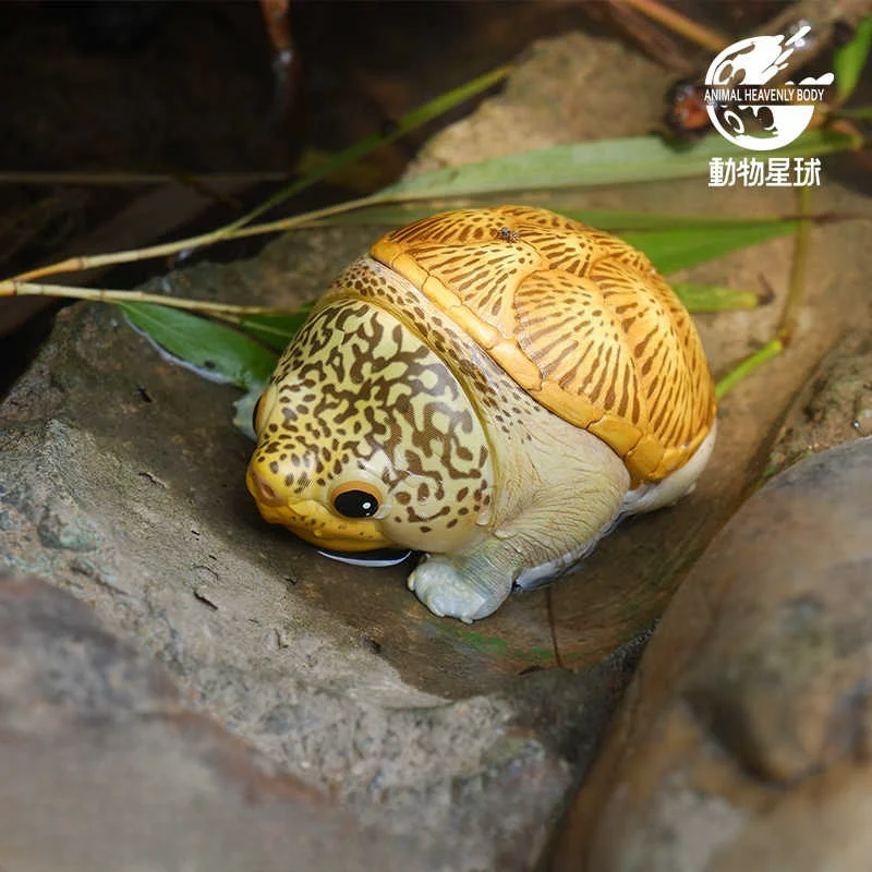 

New Animal Planet The 8th Bullet Laugh And Grow Fat Hand Made Sculpture Of Version Q Turtle Model Desktop Collection Ornament