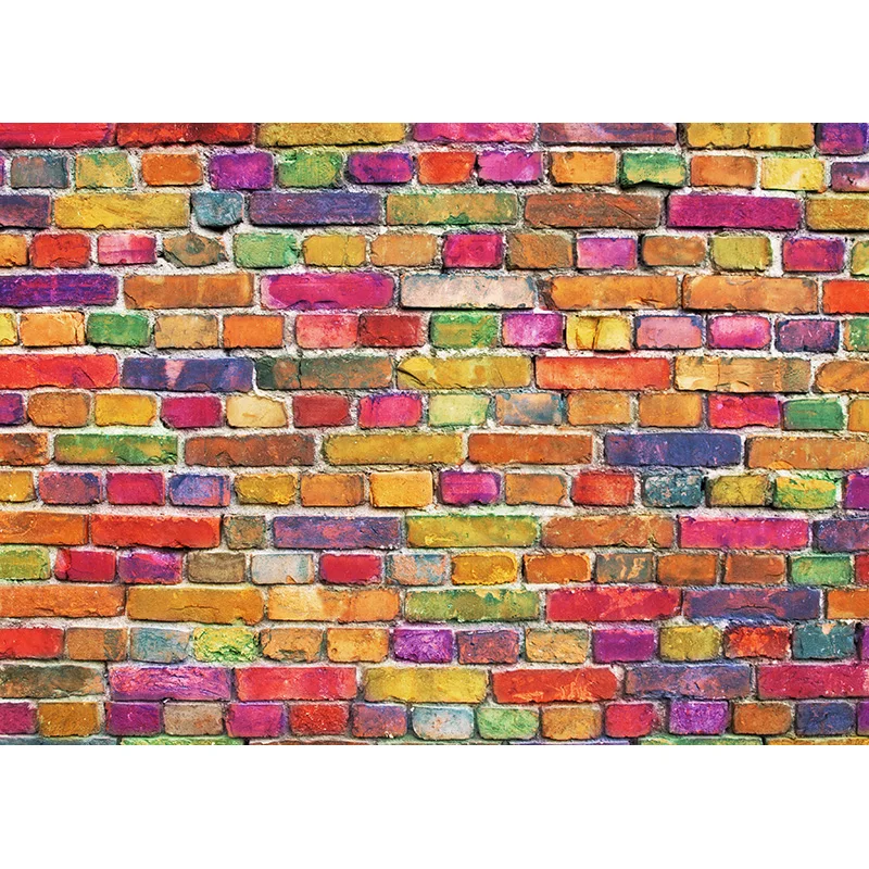 Puntelli su ordinazione dello Studio del fondo della foto di tema del muro di mattoni dell'annata dei fondali di fotografia del vinile 201225RY-09