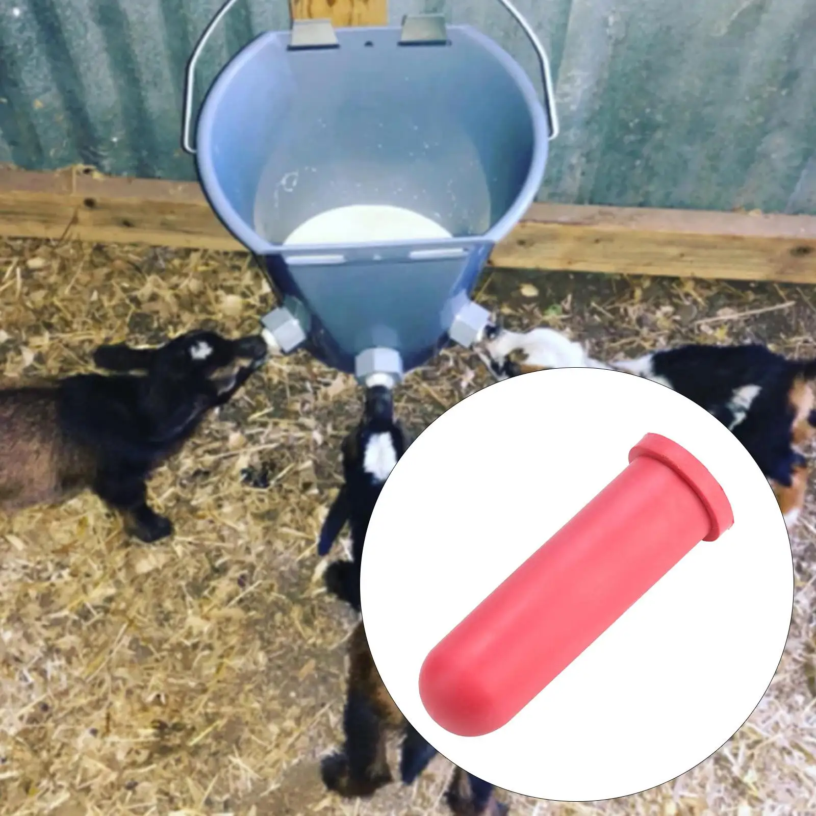 Tetina de goma para terneros, compatible con vacas y caballos - imagen 5