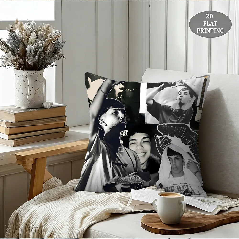 Fotografia 7: Capas de Almofada de Rapper, Estilo Cartoon, Decoração para Sofá, Impressão em Dupla Face, Almofada de Pelúcia Curta e Fofa M-Milo J