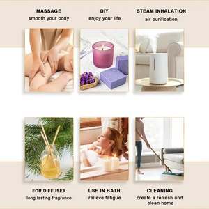 Euqee 10ml Natural Plant Essential Oil with Diffuser Accounting Humidifier Jasmine Lavender Eucalyptus Vanilla Oils Essential 11 Main Sales Essential Oil - №3