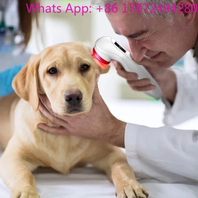 808nm 650nm Pet Medical Laser Physiotherapy Instrument Customizable Dog Pain Relief Therapy Device
