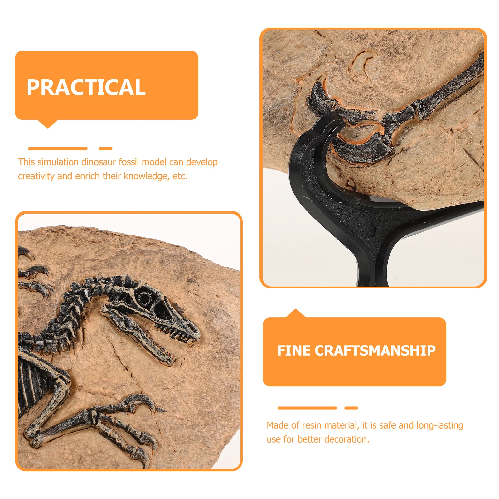 

1Set Dinosaur Fossil Resin Decoration Simulation Specimen for Home Table Decor Educational and Birthday Gift