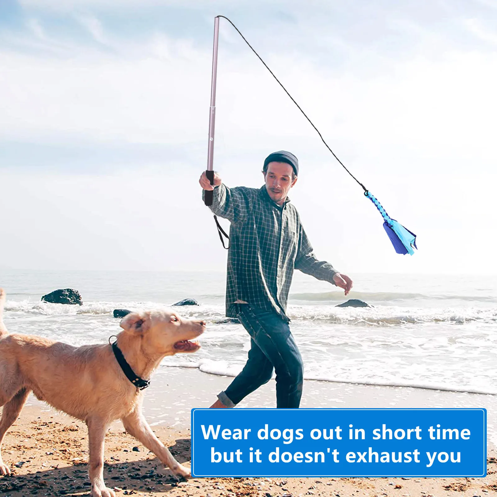 

Adjustable Retractable Dog Puppy Interactive Training Stick Durable Lightweight Pet For Chasing Play Stretchable Elastic Cord